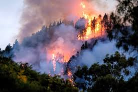 Astillero instala bocas contra incendios en bellavista. Espana Entre Los Paises Europeos Con Mas Incendios Forestales En 2019