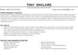 Resume Professional Profile Examples Example Curriculum Vitae