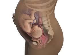 36 weeks pregnant symptoms baby