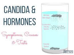 how candida yeast overgrowth creates a