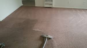 carpet cleaning in encino carpet hero