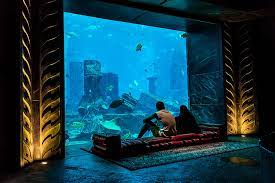 5 amazing underwater hotels niyama