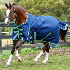 Weatherbeeta Horse Blankets Golegilo Club