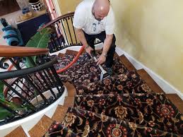 professional carpet cleaning wiz team