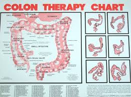 107 Chart Colon Therapy By Dr Norman Walker Colon