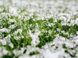 Winter Tips For Your Lawn Stodels