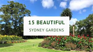 15 beautiful sydney gardens to visit
