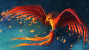 Here are 10 top and latest cool phoenix bird wallpaper for desktop with full hd 1080p (1920 × 1080). Free Download Phoenix Bird Picture 1920x1080 For Your Desktop Mobile Tablet Explore 41 Phoenix Bird Hd Wallpaper Phoenix Wright Wallpaper Phoenix Bird Wallpaper Phoenix Desktop Wallpaper