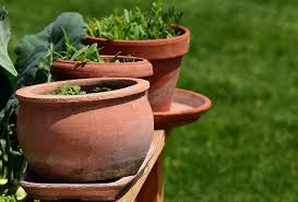 Hd Wallpaper Garden Plant Pots Herbs