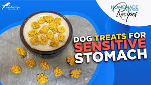 dog treats for sensitive stomach