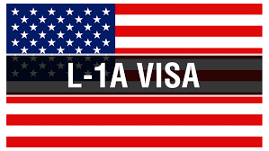 To be an Executive or to be a Manager. That is the L-1A Visa Question