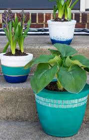 diy concrete plant pots craving some