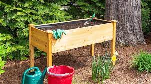 how to start a raised bed garden