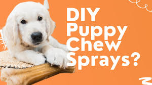 spray for puppy chewing 3 best plus