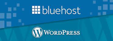 bluehost vs wordpress 2024 which one