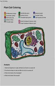 Documents similar to cell coloring worksheet wd answer key.pdf. Cell Coloring Worksheet Pdf Unique Animal Cell Coloring Sheet Answer Key Yonjamedia Plant Cells Worksheet Animal Cells Worksheet Plant Cell Diagram