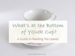 How To Read Tea Leaves A Tea Leaf Reading Guide