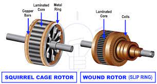 wound rotor and squirrel cage