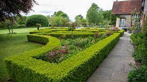 Hedges And Garden Design Greenart