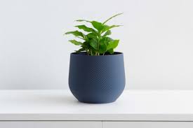 Blue Plant Pot Blue Planter Indoor