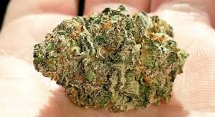 It is desired for its potency and. U K Smokers Are Going Bananas For Gorilla Glue 4