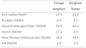 nutritional composition of sorghum silage