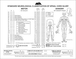 Wheeless Textbook Of Orthopaedics