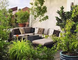 How To Decorate The Patio With Plants