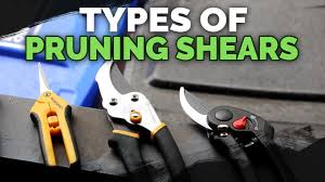 pruning shears explained choose the