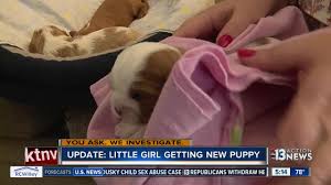 breeder donates puppy to family whose