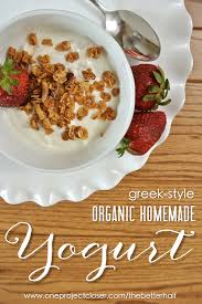 greek style organic homemade yogurt