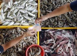 Image result for Malaysian Seafood Ban By US