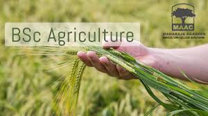 Image result for Bsc Agri