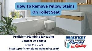 yellow stains on toilet seat