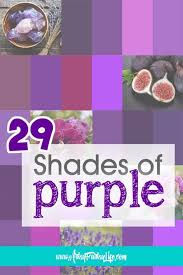 29 Diffe Shades Of Purple Artsy