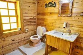 wood vs plastic toilet seats the pros