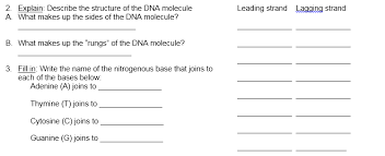 Double helix, dna, enzyme, mutation, nitrogenous base, nucleoside, nucleotide, replication. Http Www Africangreyparrott Com Gizmodnaandproteinsynthesis Pdf