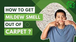 how to get mildew smell out of carpet