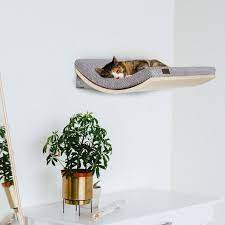 Cat Wall Furniture Cat Window Perch Pet