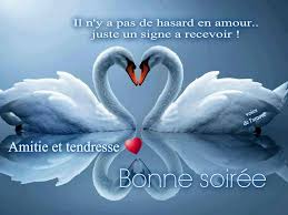 ᐅ Bonne soirée images, photos et illustrations pour facebook (Page 6) -  BonnesImages