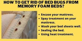 Can Bed Bugs Live In Memory Foam Mattress