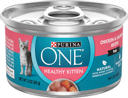 Purina One Healthy Kitten Chicken Salmon Recipe Pate Wet Cat Food 3 Oz Case Of 24