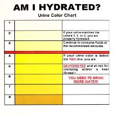 Urine Chart Archives Classic 105