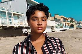 When you take the twists out, you'll have large and beautifully shaped curls. Twa Hair Ideas For A New Take On Natural Hairstyles For Short Hair