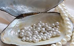 The Meaning of Pearl June Birthstone