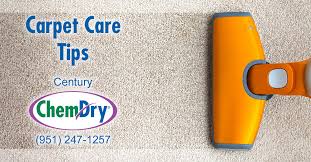 carpet care tips century chem dry