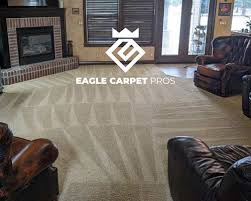 carpet cleaning eagle idaho 100