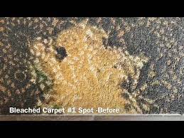 how to remove bleach stain on carpet by