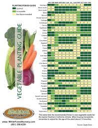 Vegetable Planting Guide