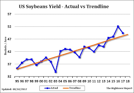 August 30 Afternoon Comments Grain Phd